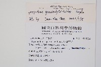 反捲葉石松藏品圖，第2張