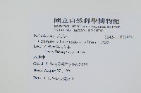 水蕨藏品圖，第2張