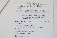 南海鱗毛蕨藏品圖，第2張