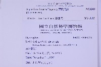 尖葉鐵角蕨藏品圖，第2張