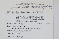 粵瓦葦藏品圖，第2張