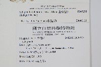 全緣卷柏藏品圖，第2張