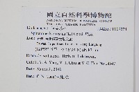 烏蕨藏品圖，第2張