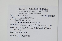 疏葉卷柏藏品圖，第2張