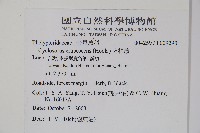 方桿蕨藏品圖，第4張