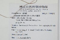 蓧蕨藏品圖，第2張