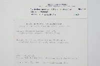 南海瓶蕨藏品圖，第2張