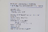 書帶蕨藏品圖，第2張