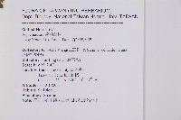 鱗柄鐵角蕨藏品圖，第2張