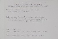 車前蕨藏品圖，第2張