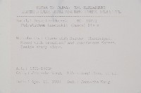 韓氏耳蕨藏品圖，第2張