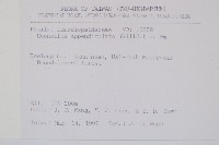 刺蕨藏品圖，第2張