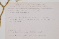 過山龍藏品圖，第2張