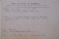 細柄雙蓋蕨藏品圖，第2張