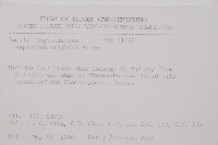 威氏鐵角蕨藏品圖，第2張