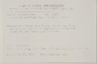 劍葉鐵角蕨、箭葉鐵角蕨藏品圖，第2張