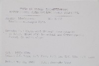 雉尾烏毛蕨藏品圖，第2張