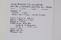 翅軸假金星蕨、短柄卵果蕨藏品圖，第2張