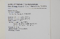 扇葉鐵線蕨藏品圖，第2張