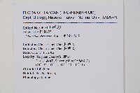 刺柄雙蓋蕨藏品圖，第2張