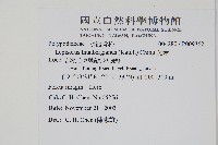 瓦葦藏品圖，第2張