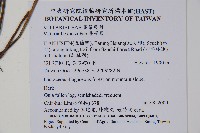 書帶蕨藏品圖，第2張