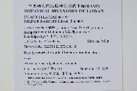 生根卷柏藏品圖，第2張