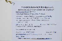 大膜蓋蕨藏品圖，第2張