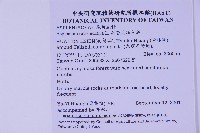 銀杏葉鐵角蕨藏品圖，第2張