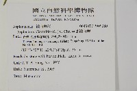 革葉鐵角蕨藏品圖，第2張