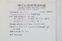 單邊鐵角蕨藏品圖，第2張