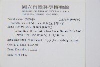 海州骨碎補藏品圖，第2張