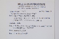 千層塔藏品圖，第1張