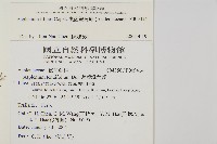 複齒鐵角蕨藏品圖，第2張