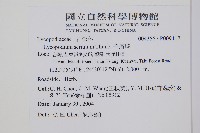 千層塔藏品圖，第2張