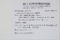 三翅鐵角蕨藏品圖，第2張