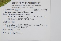 裡白藏品圖，第2張