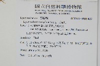 地刷子藏品圖，第2張