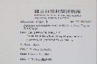 單葉雙蓋蕨藏品圖，第2張