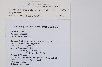 貞蕨藏品圖，第2張