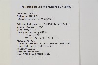 剪葉鐵角蕨藏品圖，第2張