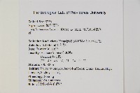 薄葉孔雀鐵角蕨、邊孢鐵角蕨藏品圖，第2張
