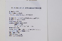 團羽鱗蓋蕨藏品圖，第2張