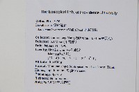 大膜蓋蕨藏品圖，第5張