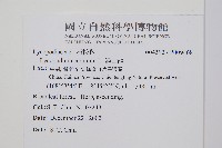 過山龍藏品圖，第2張