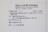 長柄千層塔藏品圖，第2張