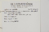 台灣劍蕨藏品圖，第2張