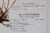 粵瓦葦藏品圖，第2張