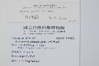 對生蹄蓋蕨藏品圖，第2張