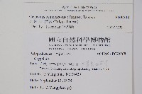 大葉玉山茀蕨藏品圖，第2張